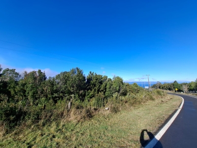 Venta de Parcela  en Valdivia, sector Bonifacio, Valor 47.000.000